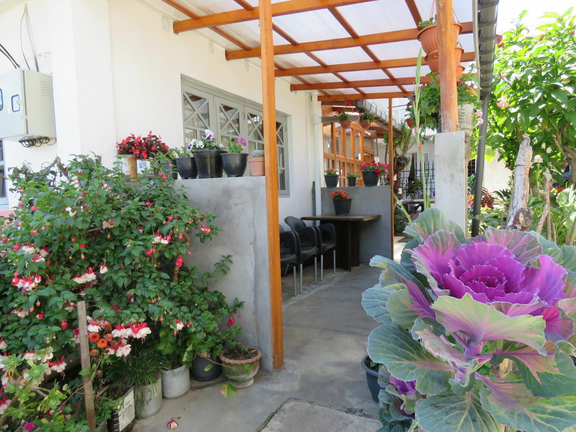 Carnation Rest Ξενοδοχείο Νουβάρα Ελίγια Εξωτερικό φωτογραφία