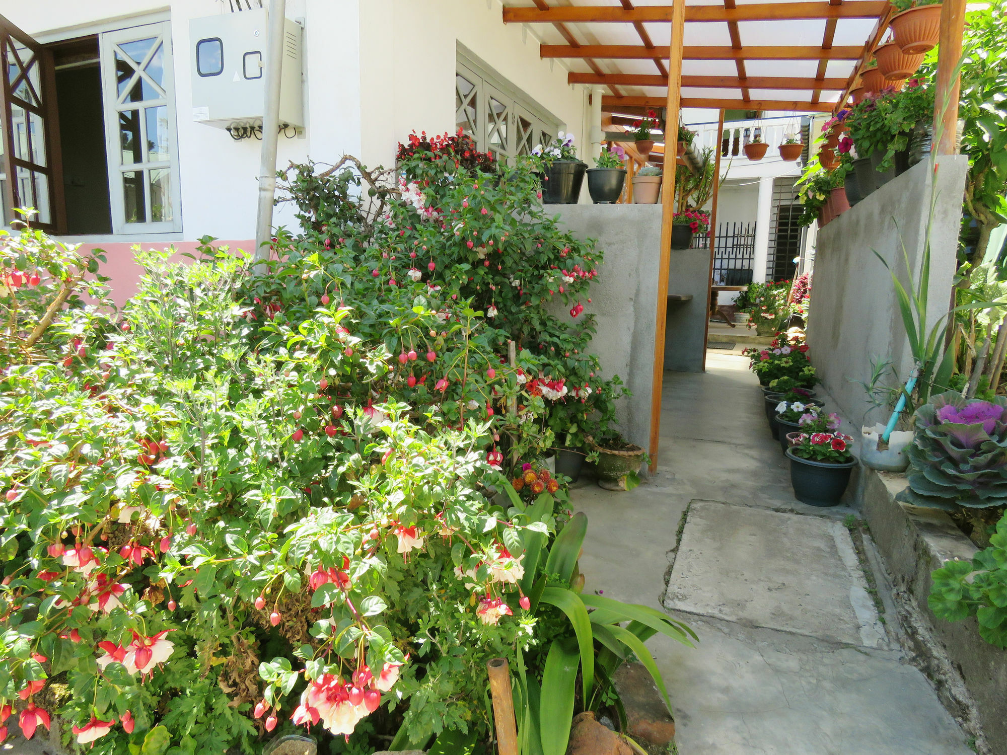 Carnation Rest Ξενοδοχείο Νουβάρα Ελίγια Εξωτερικό φωτογραφία